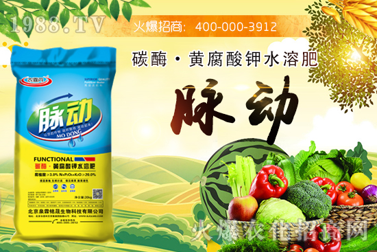 碳酶·黃腐酸鉀水溶肥有什么功效？碳酶·黃腐酸鉀水溶肥是哪些公司生產(chǎn)的？