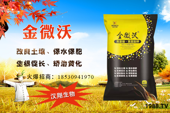 ��ӝh����ô�ӣ���˾��(y��u)��(sh��)��ʲô������a(ch��n)Ʒ����Щ��