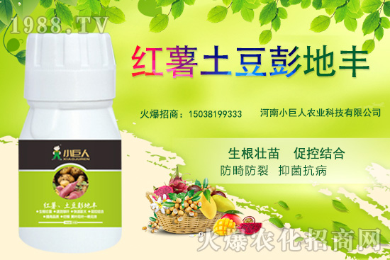 ����С������ô������˾��ʲô��(y��u)��(sh��)�����Ʈa(ch��n)Ʒ����Щ��