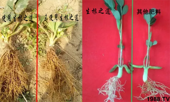 �����ϵ�����a(ch��n)������������֮���������¸����������a(ch��n)�o(w��)�n��