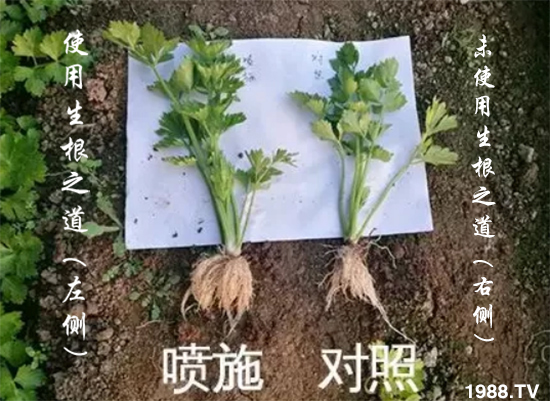 �����ϵ��a(ch��n)������������֮���������¸����������a(ch��n)�o(w��)�n��