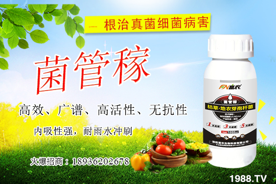 ���䝢��Σ����ʲô�����䝢�������Ά�������ˎ������Щ��