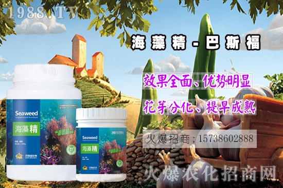  ߀���˽⺣�徫��ɶ����������out�������徫�����ж����