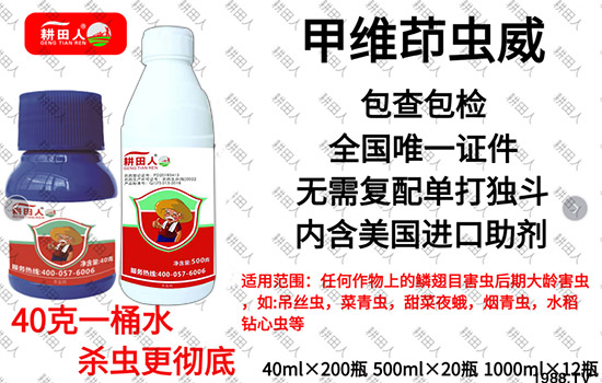 ����Ʒ�r(n��ng)ˎ�������¼Z�}����(r��n)��������ô�������x���a(ch��n)Ʒ����Щ��