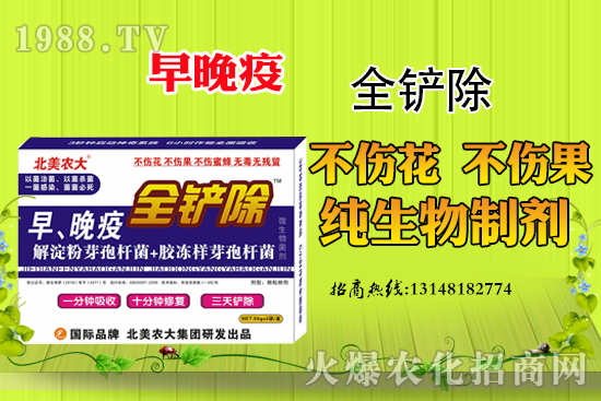 ������Σ����(y��n)���������߷��δ�ʩ����Щ��