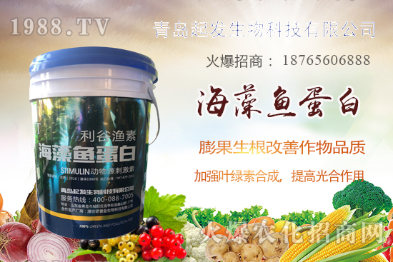 �߲˶�ֲ��ξ�������߲������`�^(q��)����Щ���߲�������������]��