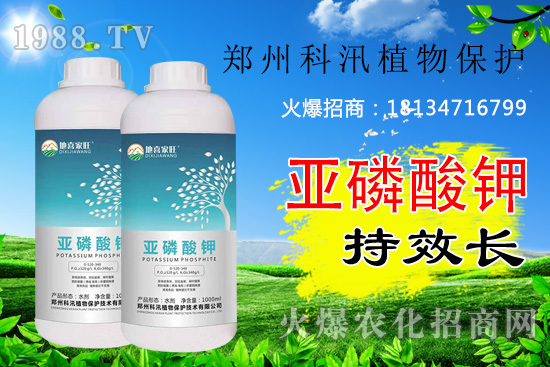 ������⛹�Ч�������C(j��)������Щ������������õĺ������