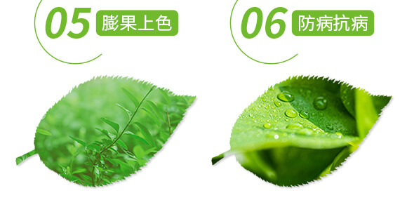 土壤修復劑-修田-愛農(nóng)斯達_06