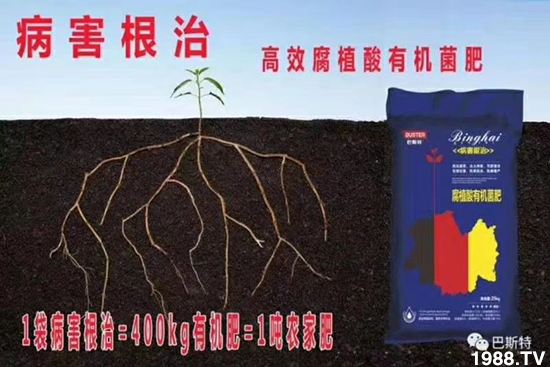 如何讓種植變得更輕松?一個(gè)套餐,全面配方,巴斯特大姜營(yíng)養(yǎng)套餐方案!