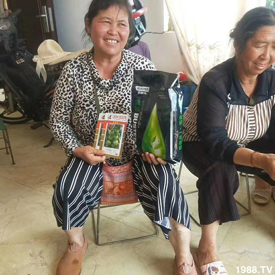 如何讓種植變得更輕松?一個(gè)套餐,全面配方,巴斯特大姜營(yíng)養(yǎng)套餐方案!