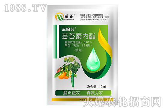 �|̦�؃�(n��i)����ʲô��(y��u)�����|̦�؃�(n��i)����(f��)�䷽������Щ��