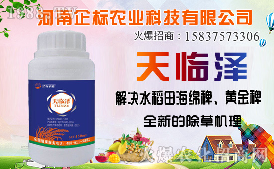 ������������ȷ�������������������݄��Ј�ͻ��20�|��Ԫ