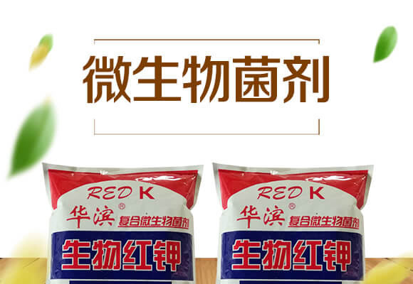 ����t�-��(f��)��΢�������-�A�I_01