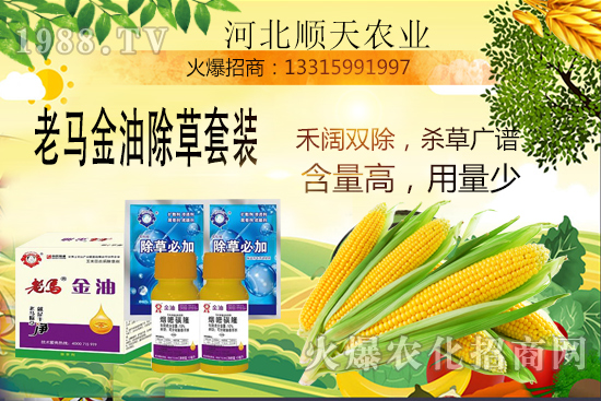 ����������������Ч�������׳����P(gu��n)�I�c��R����