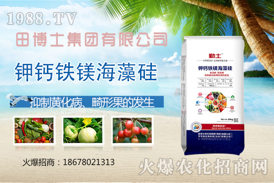 Խ�ķ��ѻ��ι����a���ϲ�ȥ�����η��ѻ��ι����@ЩҪ�I��������