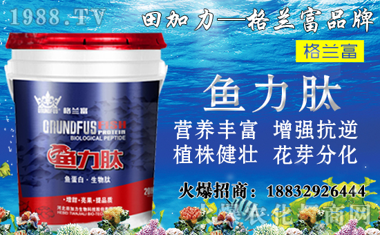 ���䌦�B(y��ng)���������c����Щ������ʩ���`�^(q��)�����_ʩ�ʷ�����