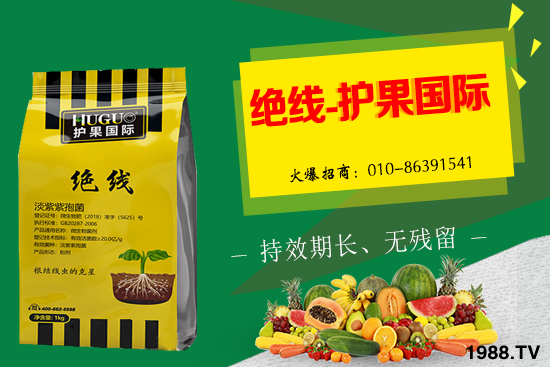 �޻���ʲôҪ�����������Щ��̎���޻�������g�������h��