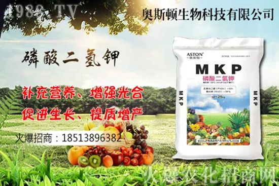 �Ă�Ʒ�N�����Ӹ��ó����҇����Ӯa�ؼ�Ʒ�N����Щ��