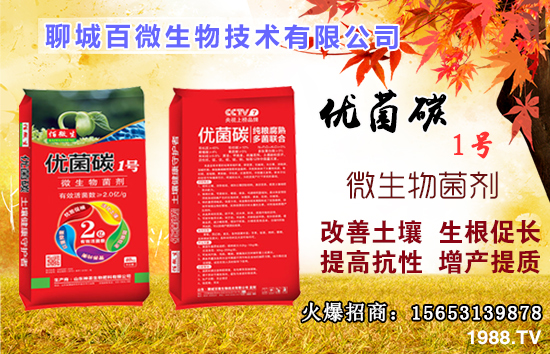 ��Ԫ����ʲô����������ȱ����ʲô�����ʲô�r���a����