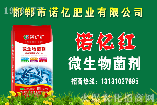 ������ʵķN�����Щ����������c��Щ���ϴ�nЧ������