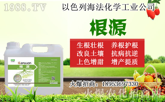 �o������ôǤ�����o����Ǥ��r�g��Ǥ�己ֳ������