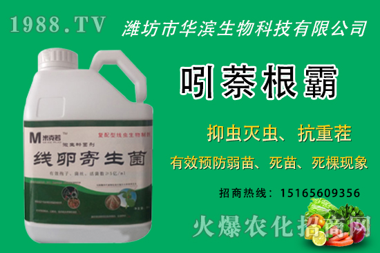 �o�����NֲʲôƷ�N�^�����o����Ƥ���ԳԆ����Nֲǰ��������