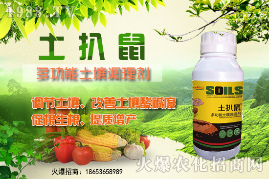 ������ʲô�r��Nֲ����������ô�x���Nֲ�����ô����