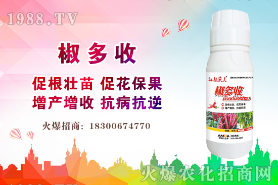 С���r(ji��)������Xһ�2020�����С���r(ji��)��߀��(hu��)�ϝq����