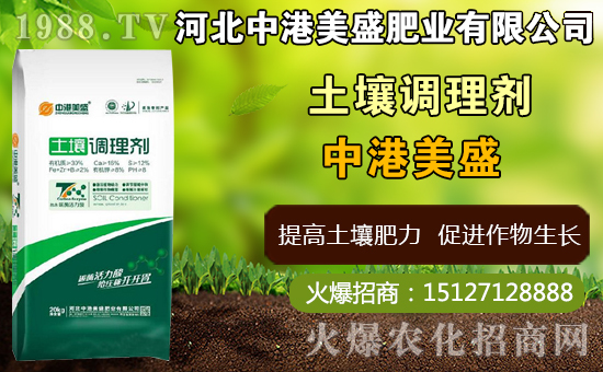 ��ˎ̫�Ӆ�ʲô�r�g�Nֲ��̫�Ӆ�ʲô�r���ի@���ã����Nֲ���g��