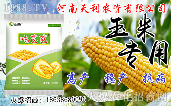 種人參果到底掙不掙錢?種植前景如何?人參果種子怎么種?