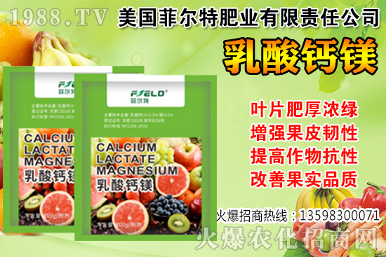 ���Ѳ��պ���α��r�����Ѳ��պ���@ע����헣�