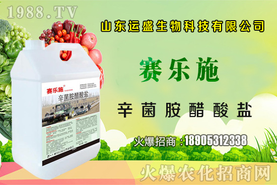 �����Ә�(sh��)���ڷ۷����������Ә�(sh��)��ζ�������