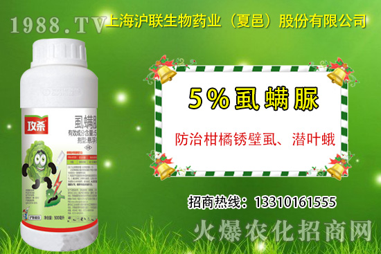 �����P��ʭ��ʲô�Y������ô�����������P��ʭ��ˎ���]