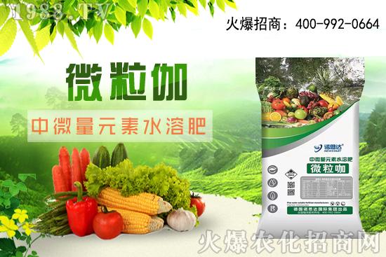 ����ԓ��ô���磬��������r(sh��)�g������ע��Ҫ�c(di��n)��