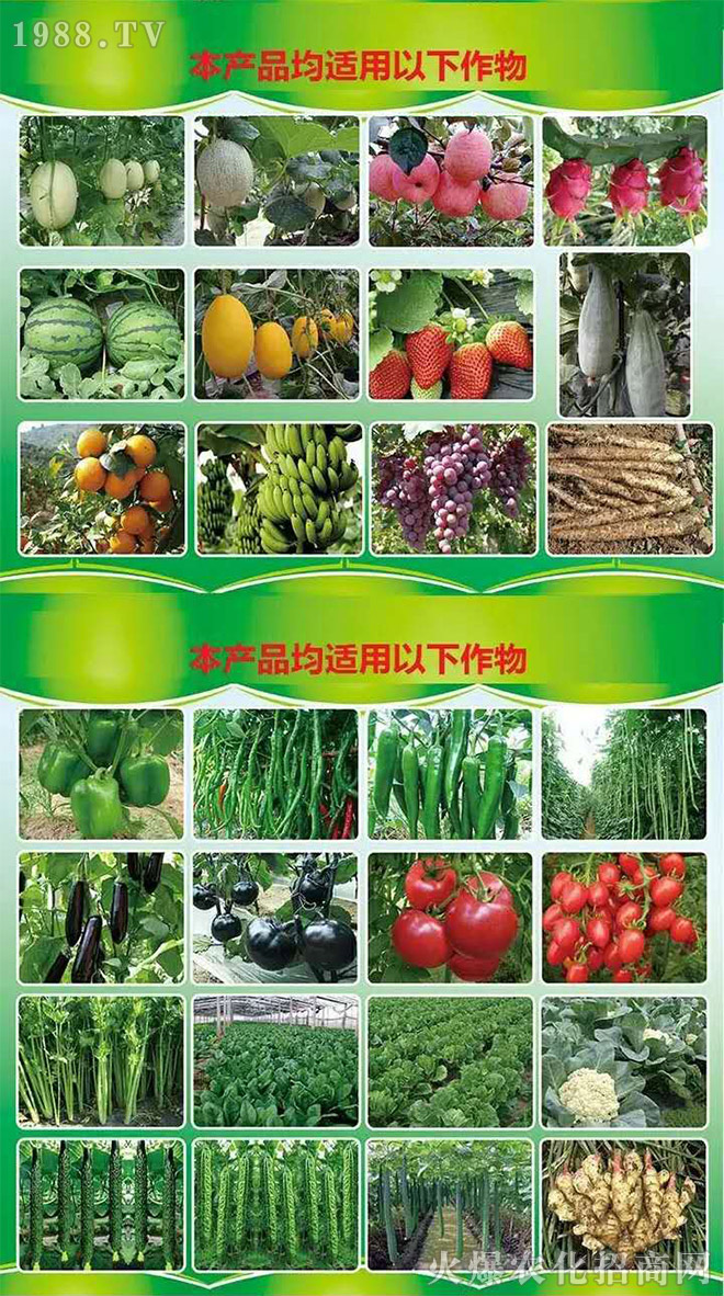 ���̼���