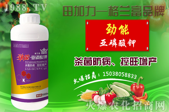 �޻������������ʩ�����޻�������Լ�ʩ��ԭ�t��