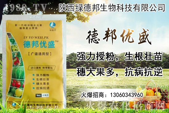 �����r������Xһ������Nֲ�ĭh(hu��n)�������x������