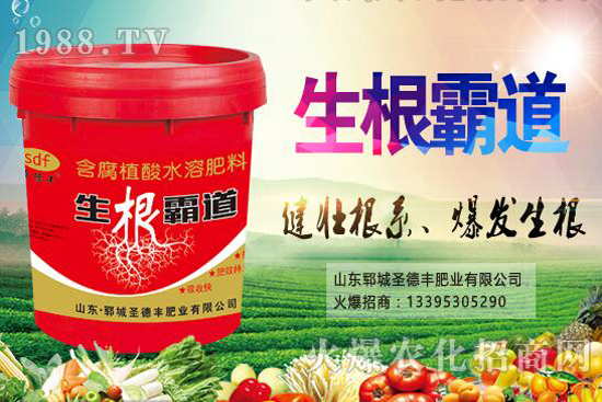 ������Nֲ����(ji��)��ʲô�r�򣿻�����Nֲ��������Щ��