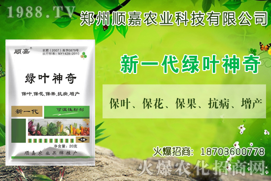 小麥價格連連上漲！現(xiàn)在一斤多少錢？