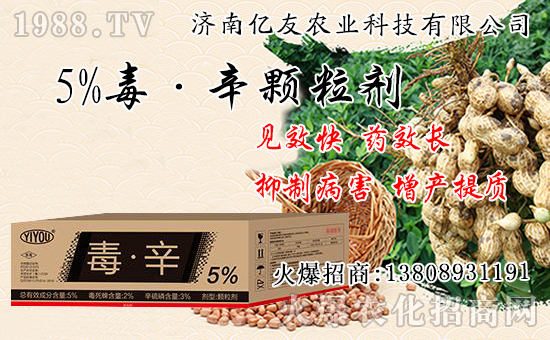 ����(sh��)���Ժʹ�����ʲô��ͬ������(sh��)���԰˴��P(gu��n)�IҪ�c(di��n)��