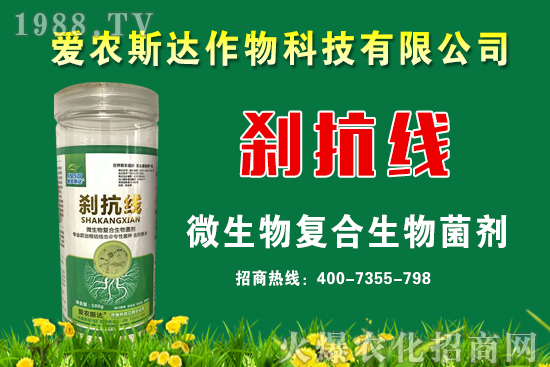 ���ռZ�r��2020��9��11��С���r�������A�y��