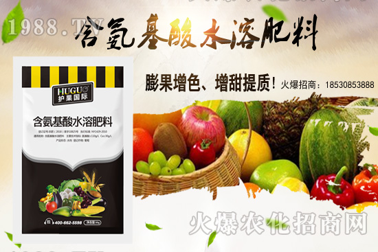 �|���m����ʲô����(ji��)���ࣿ�|������M(j��n)�зNֲ��