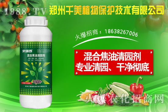 ���X�ݷN����ô�N�����X�ݷNֲ������B��