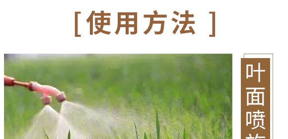 鈣鎂鋅硼鐵-英爾果_09