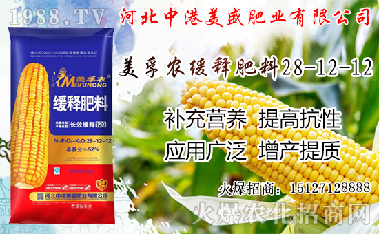 �O���������������ô���£��O�������ڼ���ժ�������