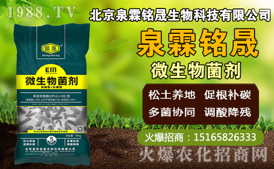 â��ʲô�r�g�Nֲ��â���Nֲ��������ˮ�r����