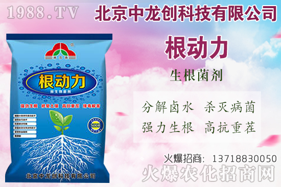 ���}���������������Щ�����}��ʩ�ʼ��gҪ�c��