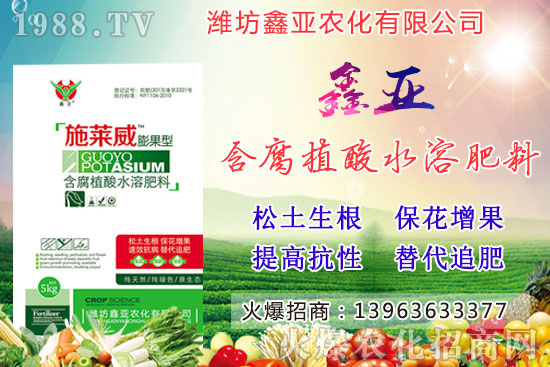 �Zʳ�q�r��20209��17��С���r�����������