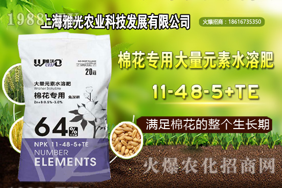 ��ʲô�r(sh��)��Nֲ�������༼�g(sh��)Ҫ�c(di��n)��