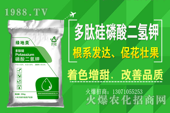 �۲˵ă�(y��u)��Ʒ�N����Щ���۲˷Nֲ���L(zh��ng)�h(hu��n)�������Nֲ���g(sh��)��